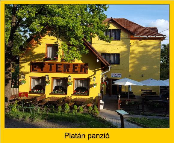 Platan Panzio 호텔 도보고코 외부 사진